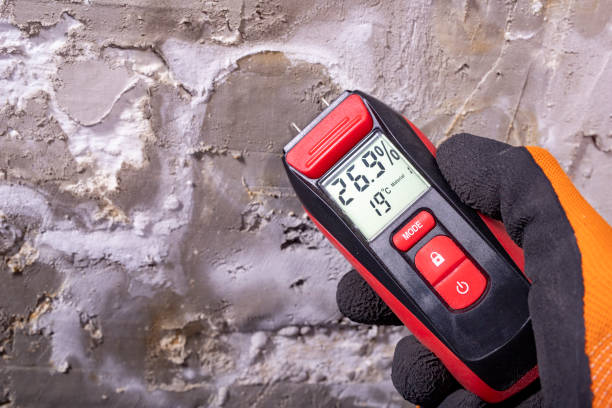 Best Certified Mold Removal  in Woodinville, WA