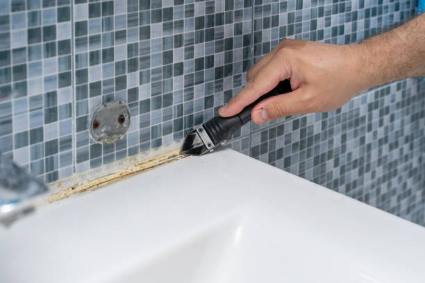 Best Home Mold Removal  in Woodinville, WA